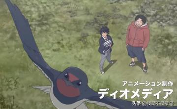 鸭子的天空怎么被屏蔽了，分析鸭子的天空被屏蔽的原因与平台问题