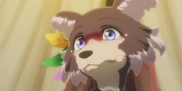 动物狂想曲第二季全集完整版，快速观看完整剧情与解析